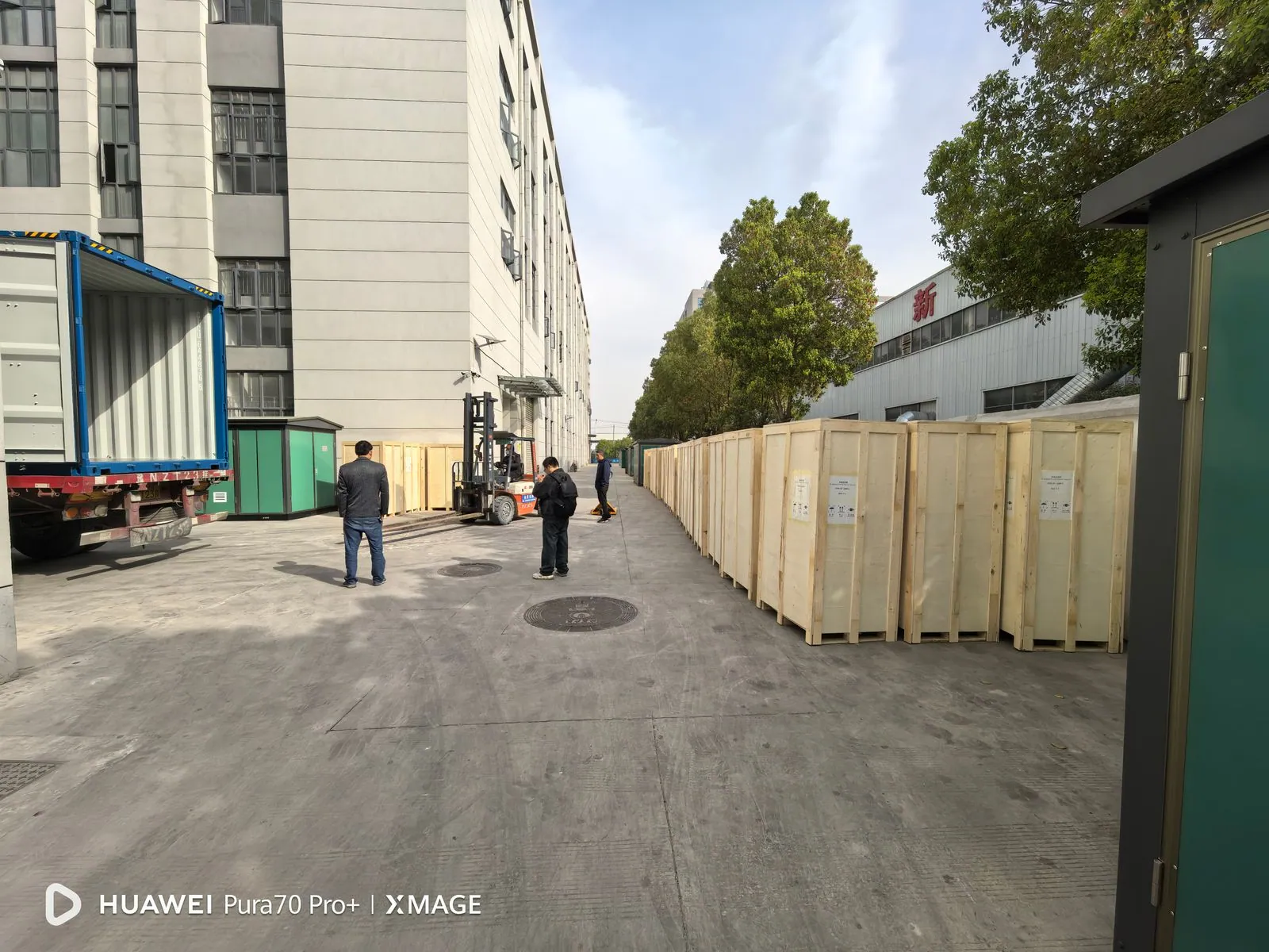 Batch ready for loading — export delivery record